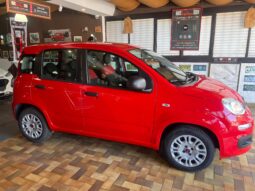 Fiat Panda 1.2 EASY NEOPATENTATO pieno